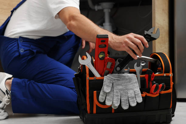 Best Affordable Plumbing Services  in Pistakee Highlands, IL