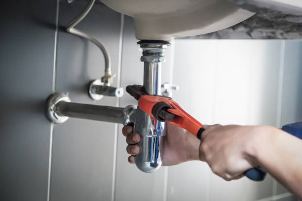 Best Plumbing Inspection Services  in Pistakee Highlands, IL